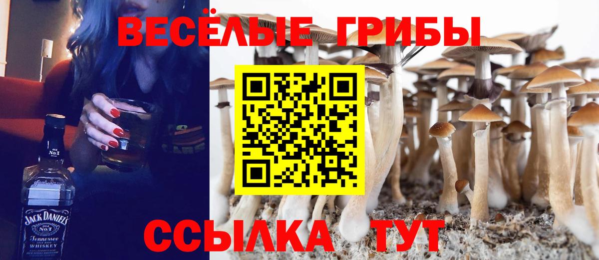 Псилоцибиновые грибы GOLDEN TEACHER  Вход с VPN  Псилоцибиновые грибы Cubensis  Гай 