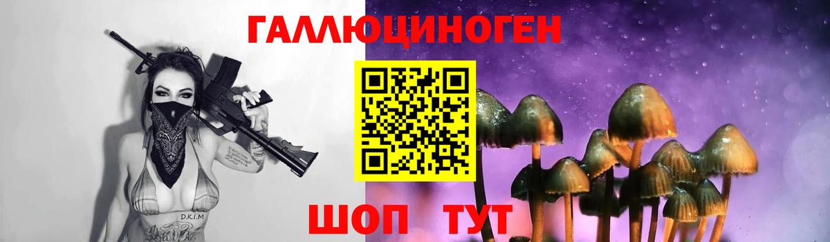 Псилоцибиновые грибы мицелий Гай